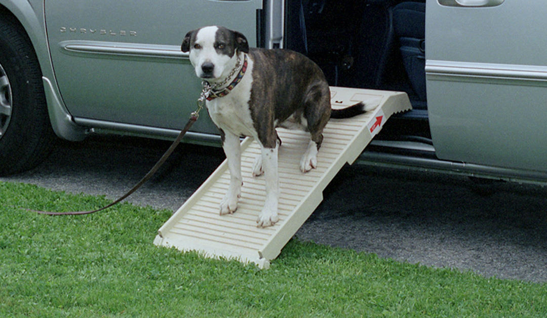 PetStep Ramps make life safer for dogs