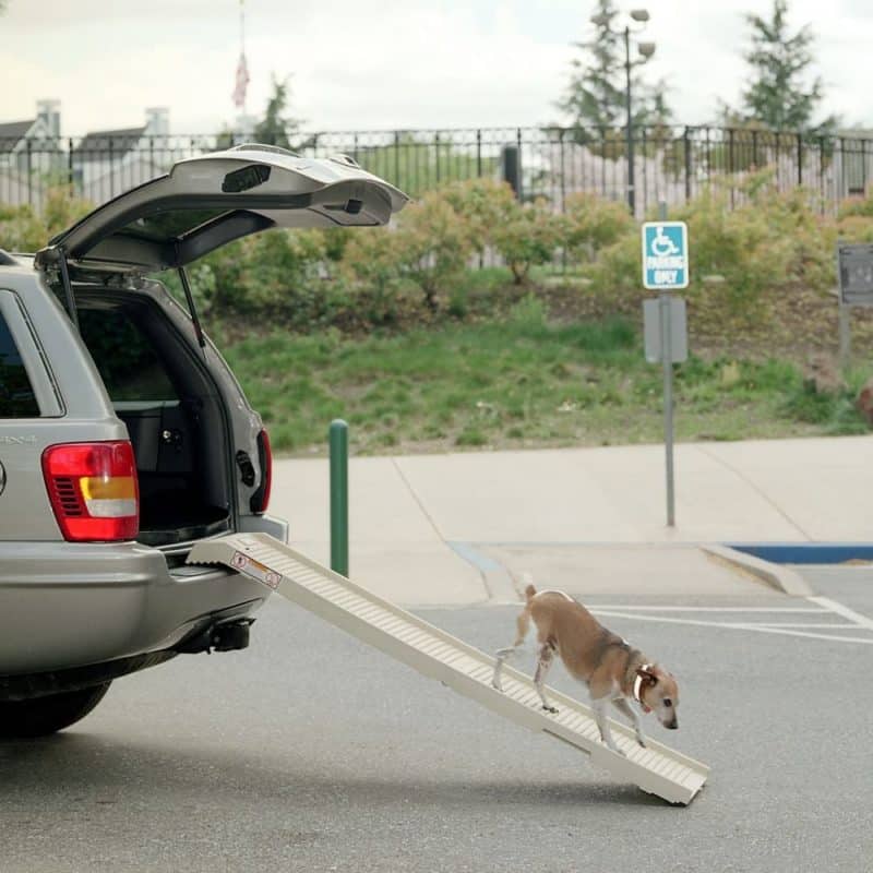PetStep® Folding Pet Ramp PetStep Dog Ramps