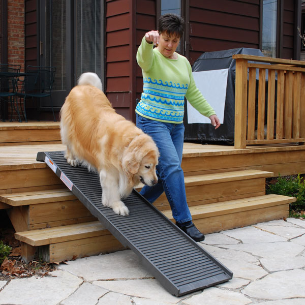 heavy dog on PetStep ramp