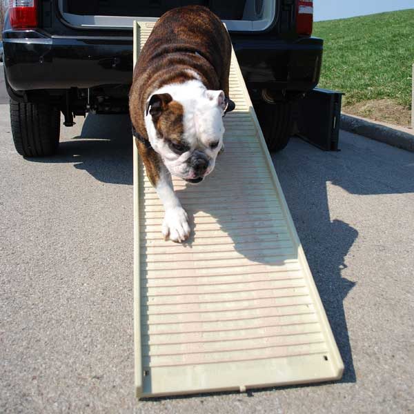 PetStep Ramps are designed for larger dogs