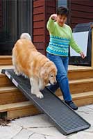 heavy dog on PetStep ramp