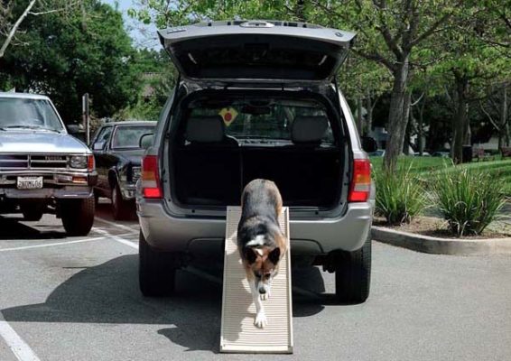 PetStep® Folding Dog Ramps for large dog breeds