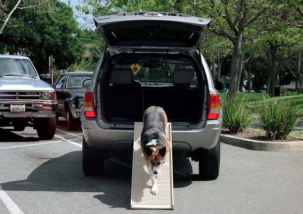 Foldable Wooden Dog Ramp Protects Pets Joints and Bones from the Strain of getting in and out or your car 