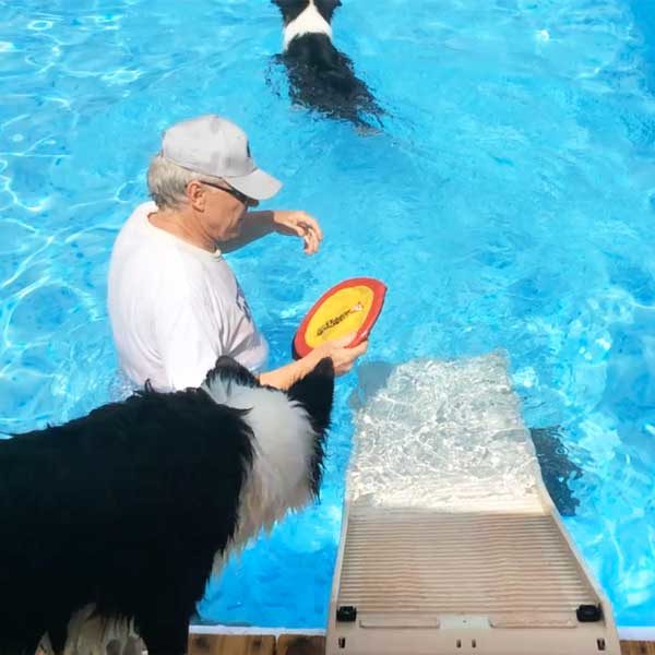 Pool Ramp Kit for Dogs