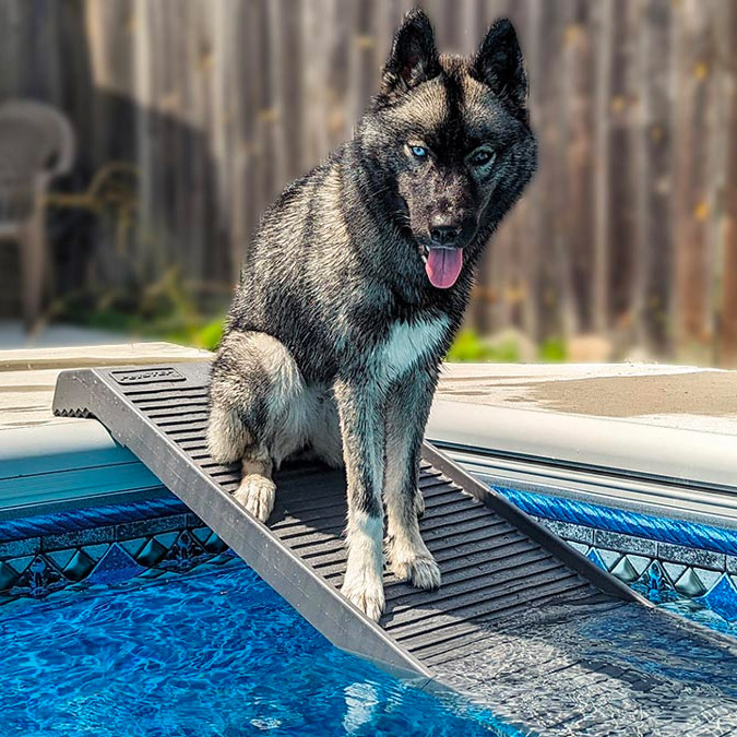 Steep Stairs : r/pools