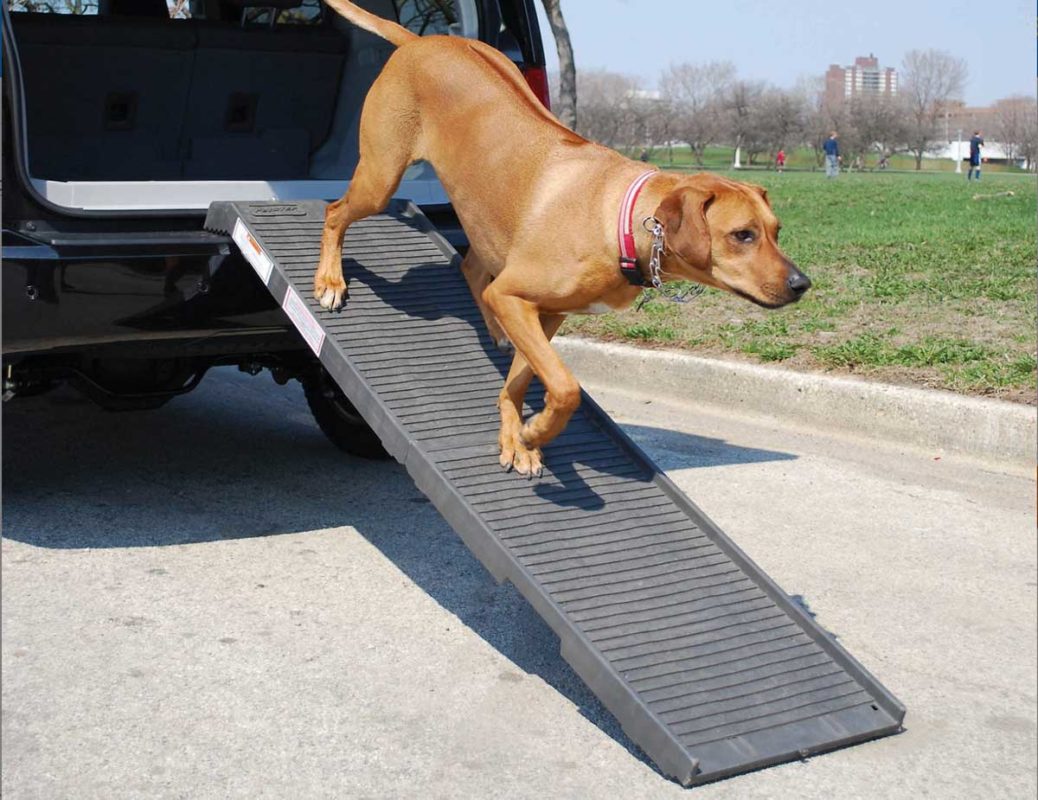 Folding Ramps for dogs - pro and con