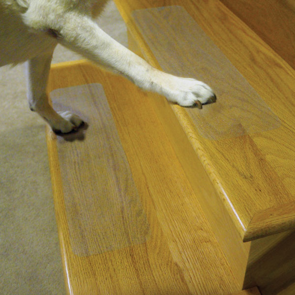 Dogs' paws like rubbery vinyl surface