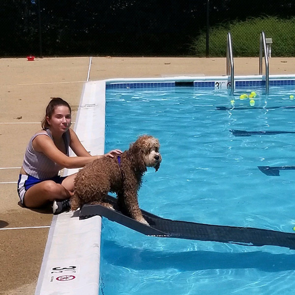 Happy Dog on Graphite PetStep Pool Ramp