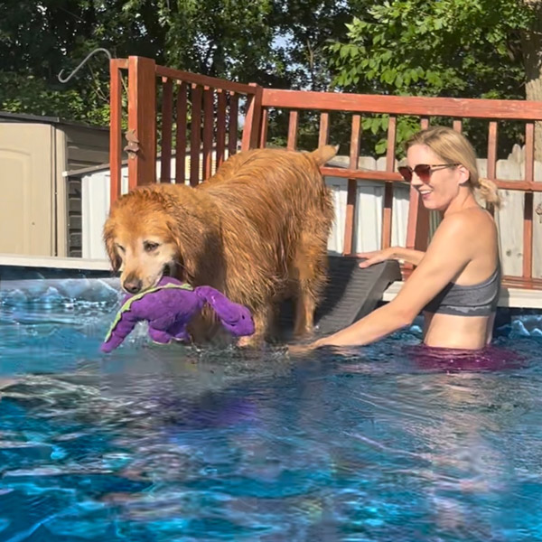 Dogs of every age love the pool - PetStep Dog Pool Ramp Kit makes it easy!