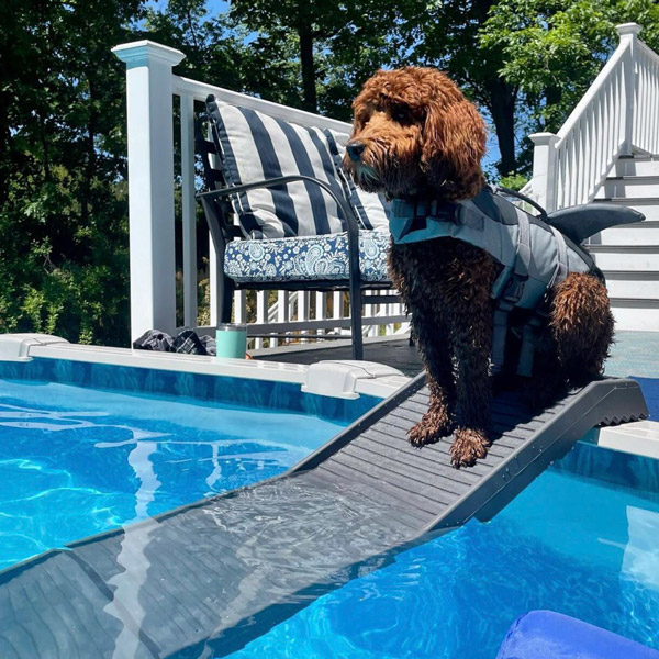 Steep Stairs : r/pools