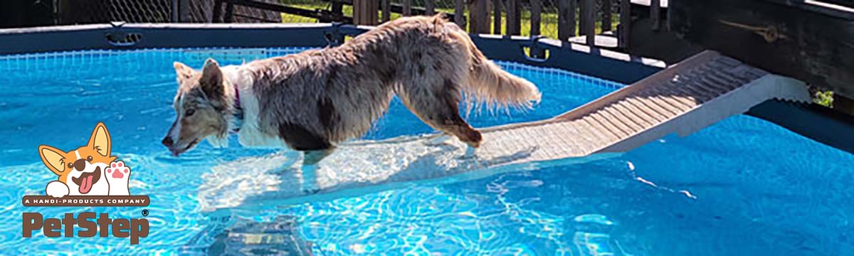 Dog Floating Pool Entry Mat 