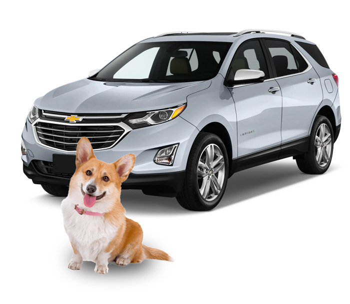 Pet-friendly SUV: Chevrolet Equinox