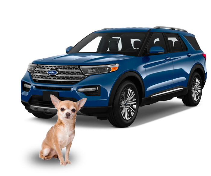 Pet-friendly SUV: Ford Explorer