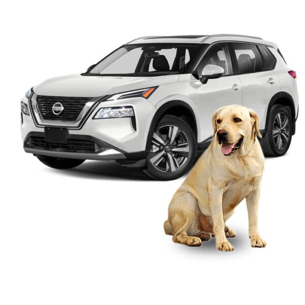 Five Best SUV's for Dog Owners PetStep Dog Ramps