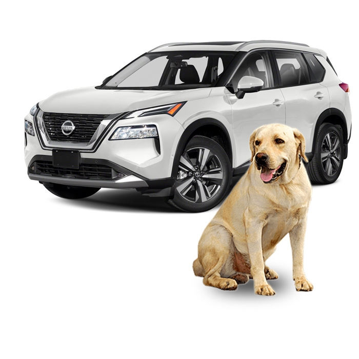 Pet-friendly SUV: Nissan Rogue