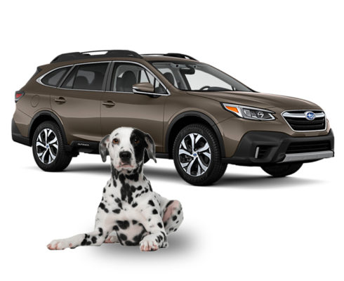 Subaru is a pet-friendly SUV
