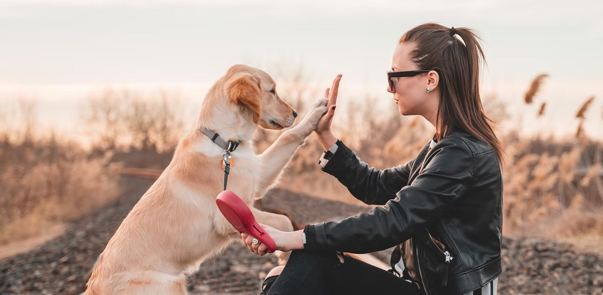 Emotional Support and Service Dogs