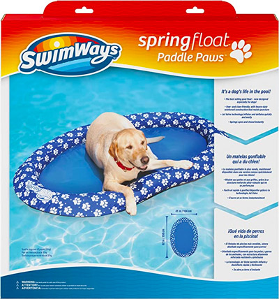 Pool floats can help your dog feel safe in the pool