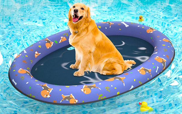 Dog Float Raft - 12 Best Gift Ideas of Dog Lovers