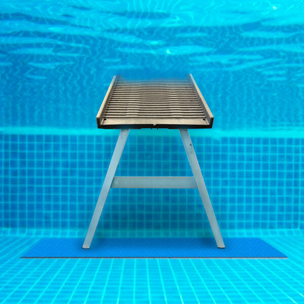 underwater view of PetStep Pool Ramp for Dogs on mat