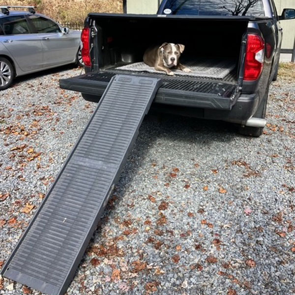 Petstep folding dog ramp hotsell