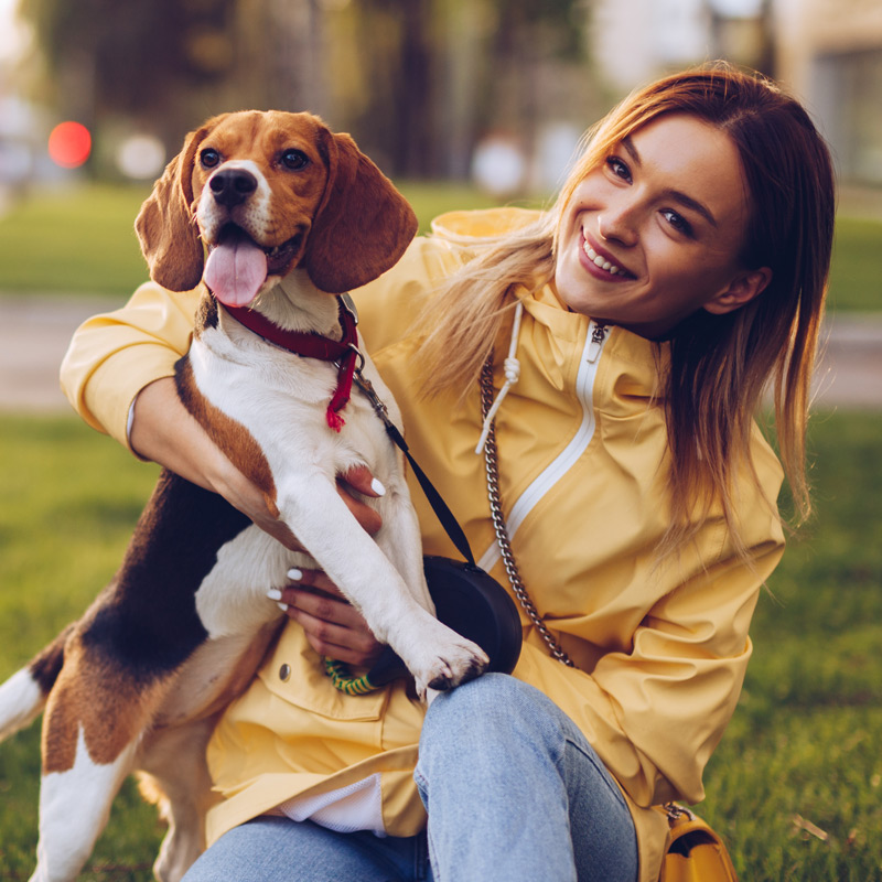 Bonds between dog and owner are strengthened on daily walks