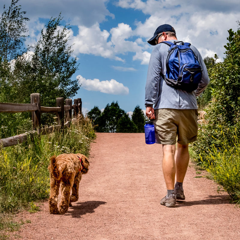 Summer is a great time for longer dog walks