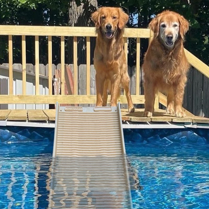 PetStep Dog Ramps For The OnTheGo Dog Outdoor, Indoor & Pool Uses