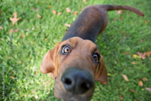 AdobeStock_325861163_Preview AdobeStock_325861163_Preview