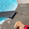 PetStep-goldie-in-ground-pool-ramp-p-poster