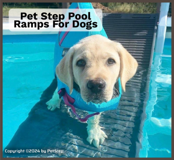 PetStepRampImages-Pool-Ramp